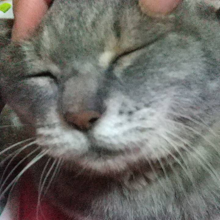 2eb58375 0103 40f7 9eb7 736cfe5a03be 1625268517824