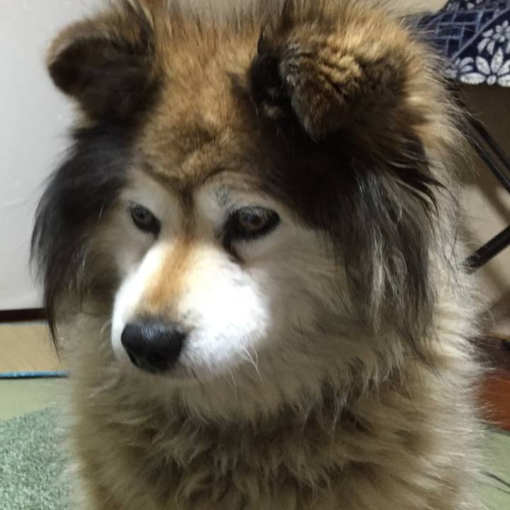 2eb5a0a4 0fea 4699 a784 cf329cc177d7 1597475089524