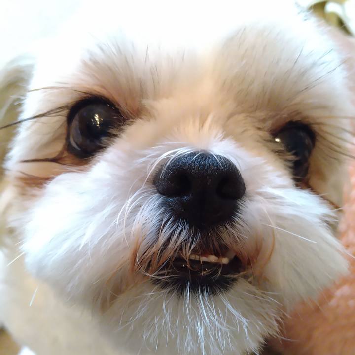 2eb5f7d0 334f 48cd bea0 441fe4ec5220 1631315292369