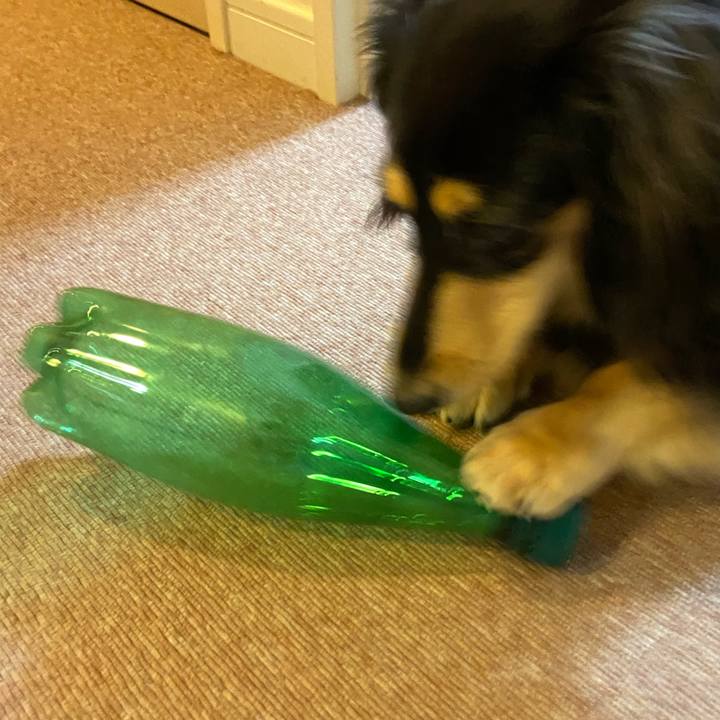 2eb623ff 5612 40d5 bd2e 17b596493cc3 1689378945033