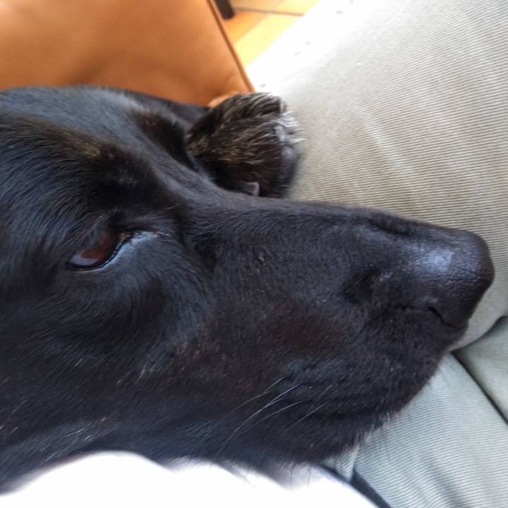 2eb639f6 8f06 4cc7 bd94 e11809355faa 1589683561848