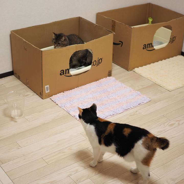 2eb6562e 9eda 4b99 8ab4 84e85da416ca 1528589560539