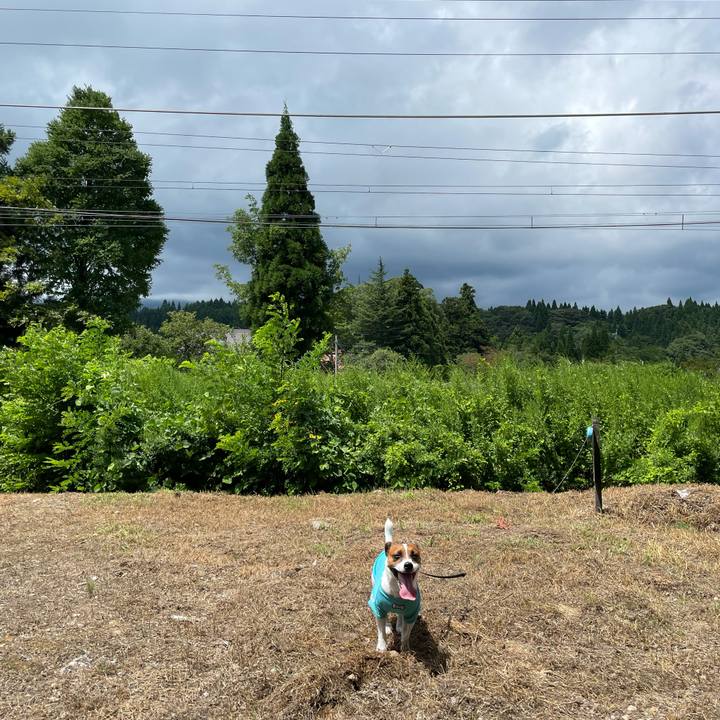 2eb65759 d965 43c1 9603 a5abeafc9146 1628394591997