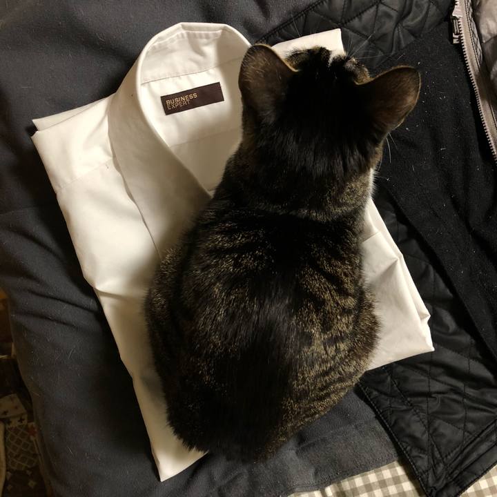 2eb65f32 e2ed 403a 9d0c 2b19e119ffb5 1517552407820