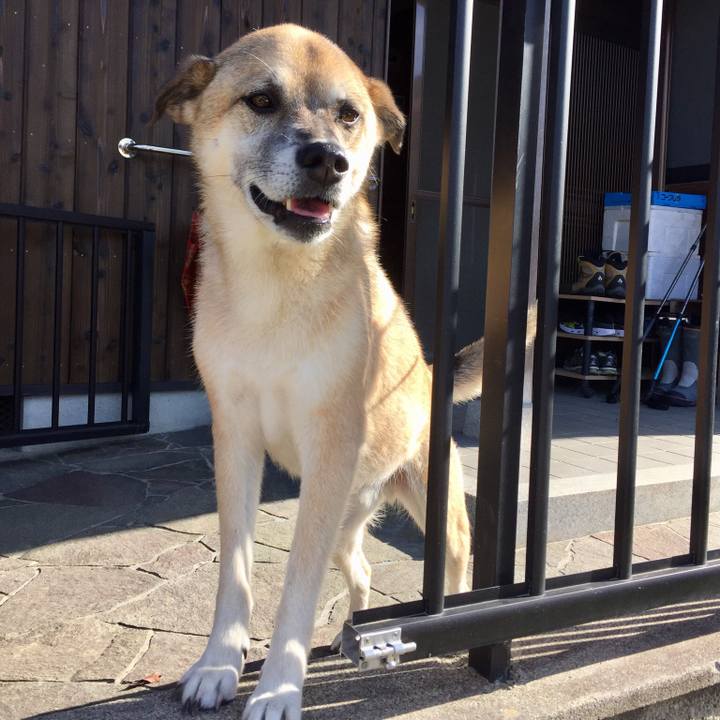 2eb67260 72ac 4b1b b8bf 72ea1ac101c6 1532251446326