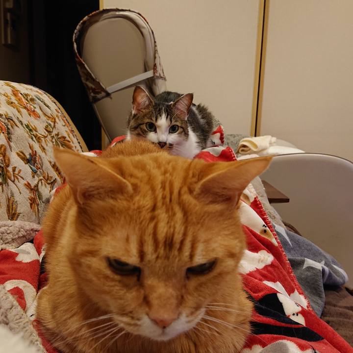 2eb68989 c064 43fa 9001 0e87b014ecd8 1678405549762