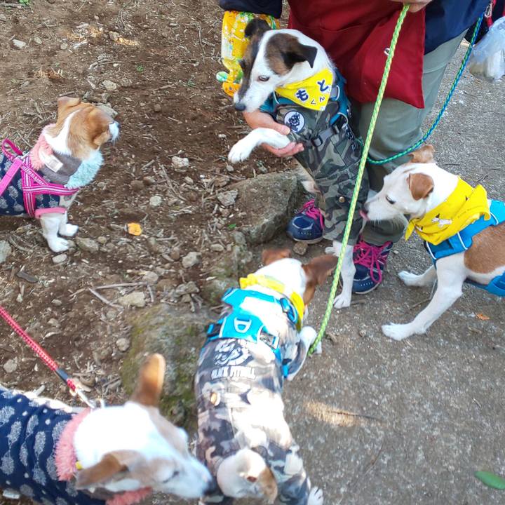 2eb68f90 8b8d 4733 8efc f8b6f8482ba9 1576473106448