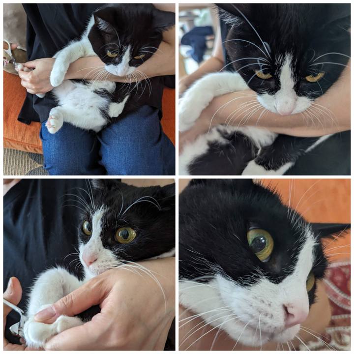 2eb6da68 e8e6 4fea 8a0f 6d9a2dbaee68 1692430328691