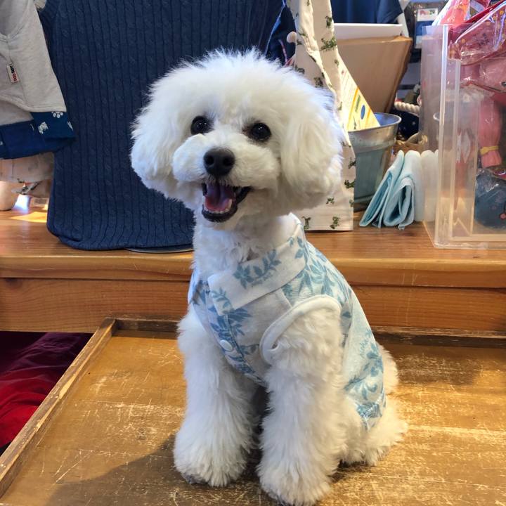 2eb70f14 e8e6 4b9d 9592 4e741acae881 1553472892800