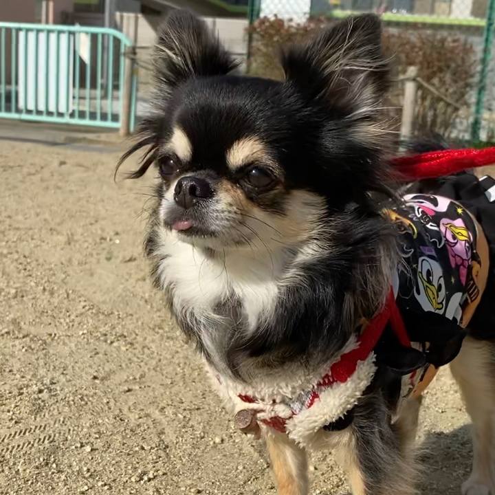 2eb72a0b 02ba 4fbd 946b ac5d1e05700a 1634882902820