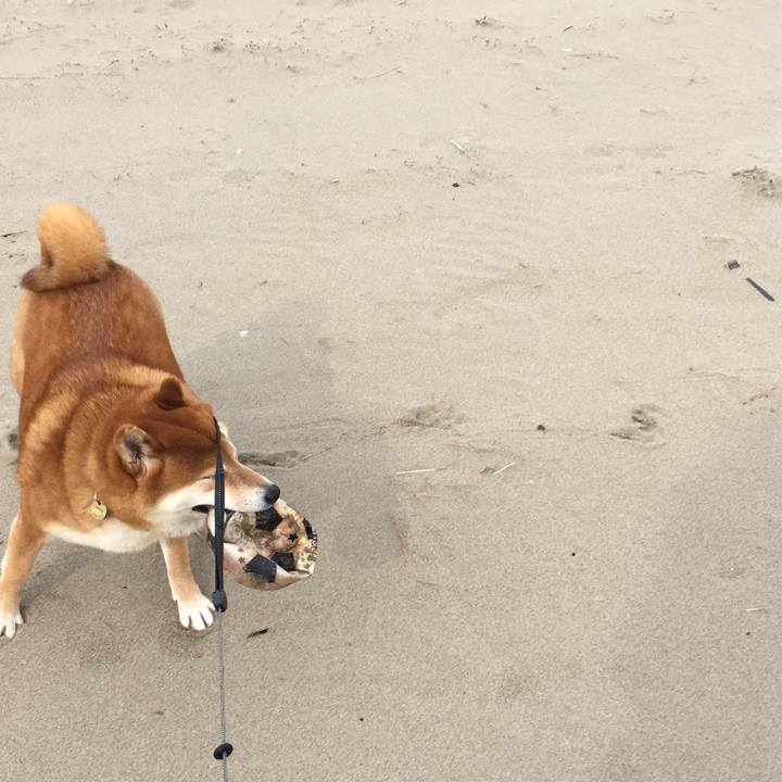 2eb75830 d188 464d 9154 9717effe7bd5 1581770628996