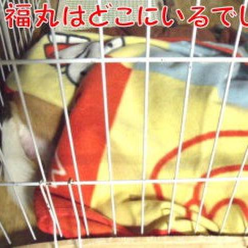 2eb7a616 7752 4ce3 b230 28977baba0eb 1695602132614