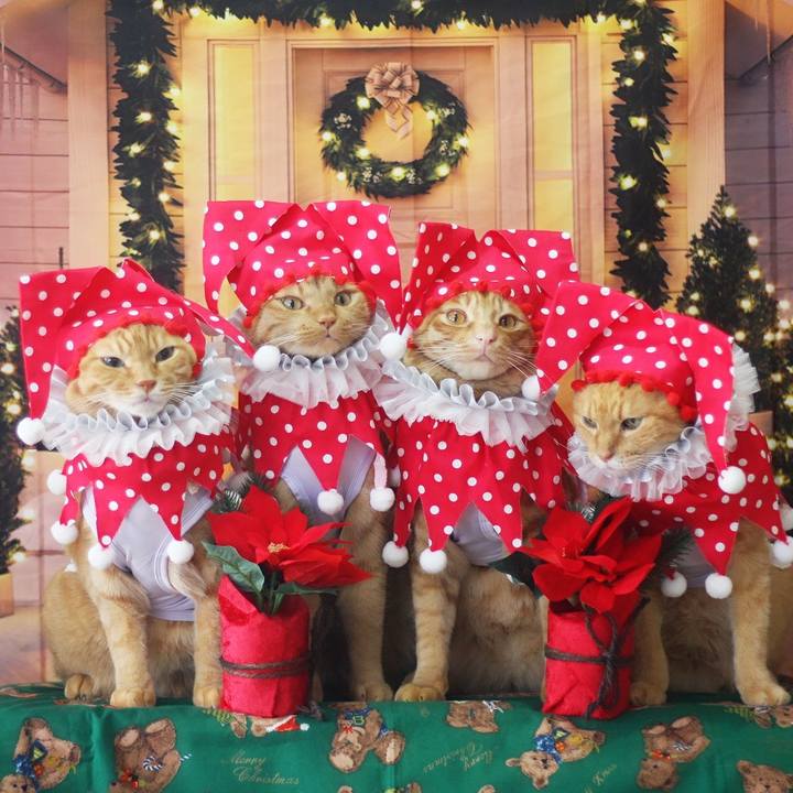 2eb7c8f2 0446 40a1 95d5 e351322cbf8e 1701677492553