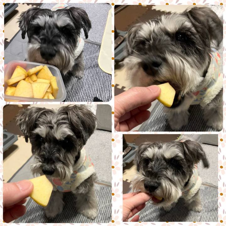 2eb7cbeb def7 4dec 9bf3 4fd799421203 1774018846457