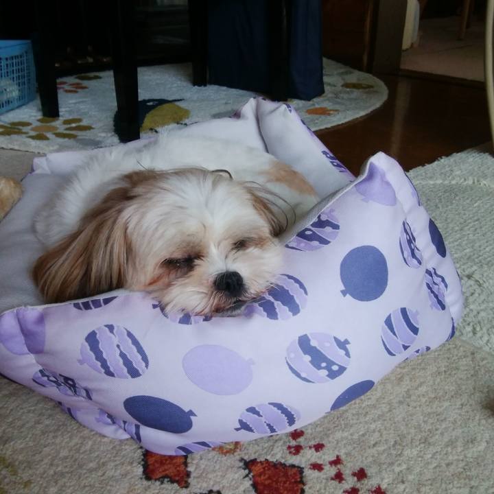 2eb7ff82 e805 479a 9403 ae4374b30da1 1568346250057