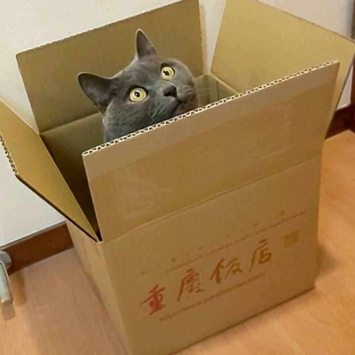 2eb81c79 f53a 485d 97ce 72a6e8df72d8 1765885879461