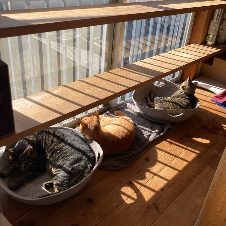 2eb82fda f86e 49fe 969d 396bd5fd3ce7 1702786490446