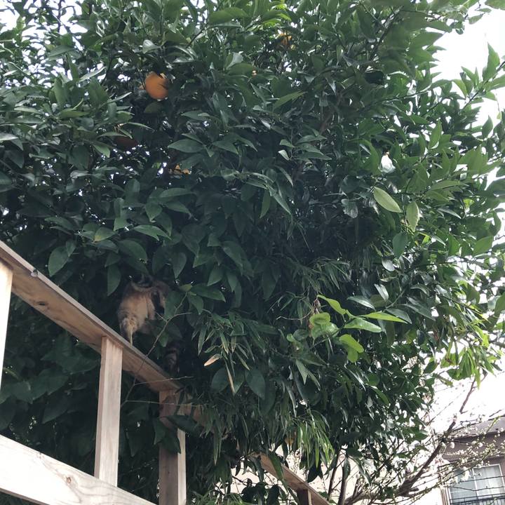 2eb837a0 7b51 4e06 86d7 8a5ed7ec83ba 1521795693454