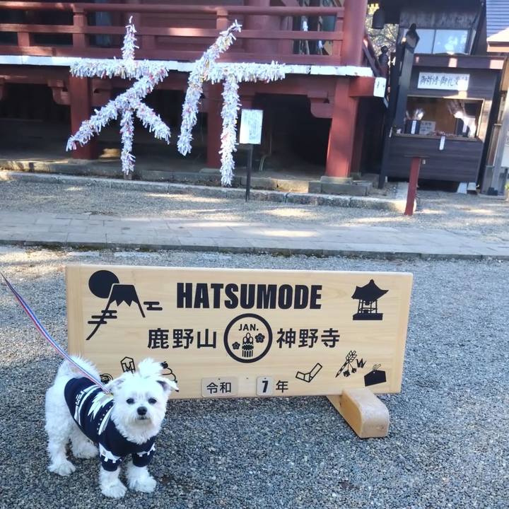 2eb846d1 ba6d 4006 88e6 d1c856cd779b 1736590364104