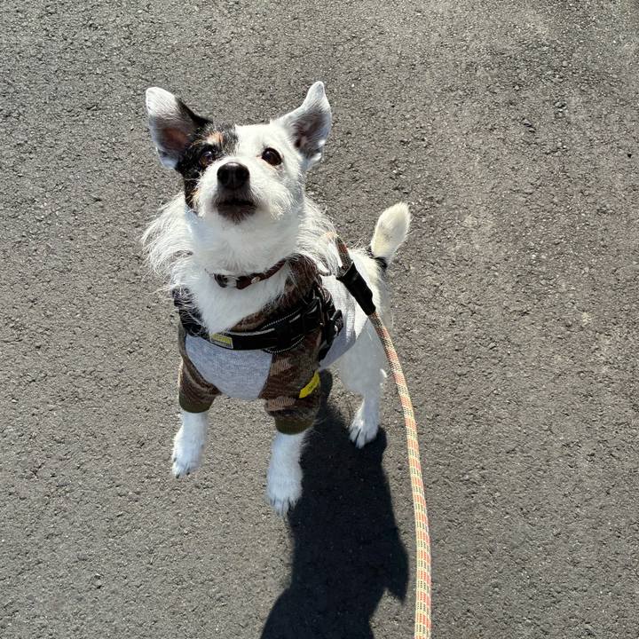 2eb86b05 c9c0 4eb4 94f3 54cc359f5f60 1774310562513