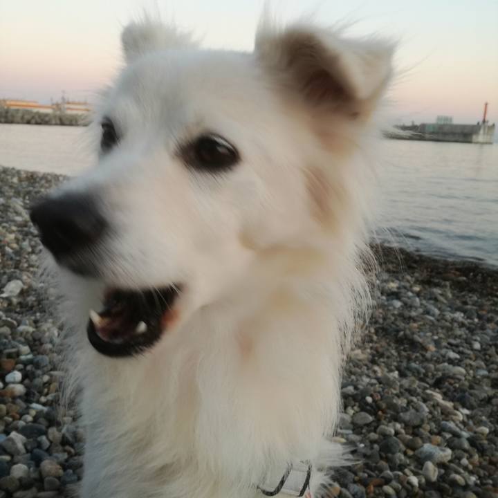 2eb8e24b 878b 4607 a56e c28ad6d19a84 1509443183507