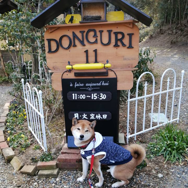 2eb8f950 4e9e 4463 8853 0f326ed3c116 1644141501854