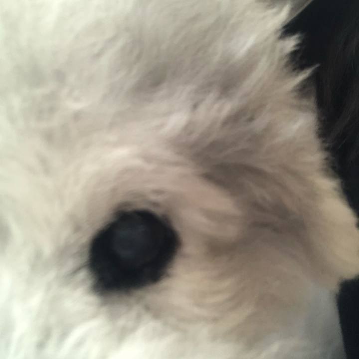 2eb90054 ed20 472f b5ed 5f7621f49504 1623197091179