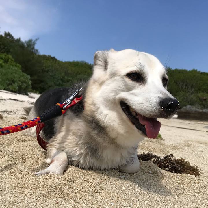 2eb91d3c 0f39 4091 80d3 bc838d769783 1582866590573