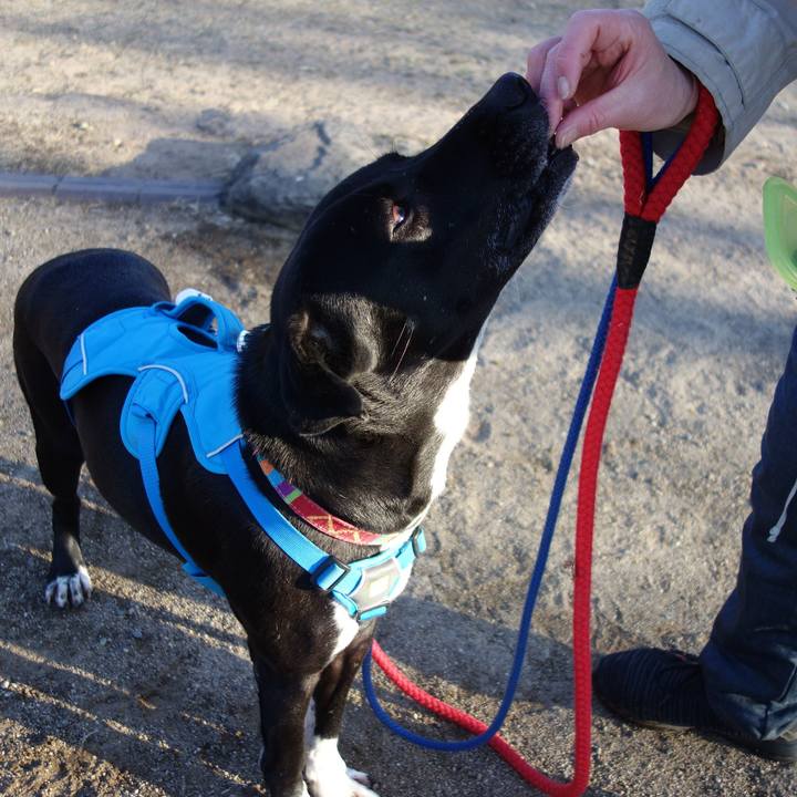 2eb92a82 9cb2 4cec ba74 812777517db9 1614473383817