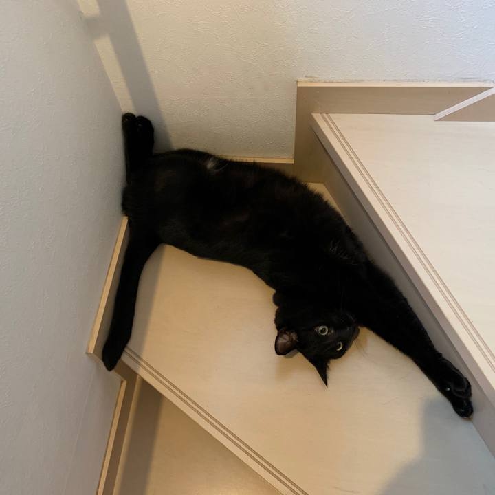 2eb92ac4 fe54 4587 99a0 6200f45e4920 1597715713373