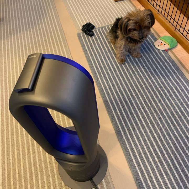 2eb93edf 1c85 4133 bb66 06c21142ad6c 1612341398475