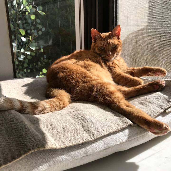 2eb9e58a 2018 49cb bf36 1ed5a0763bfc 1511926973586