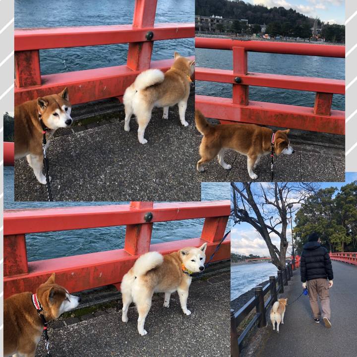 2eb9f401 24d6 4f55 a4c7 78358e0d094f 1547808124461