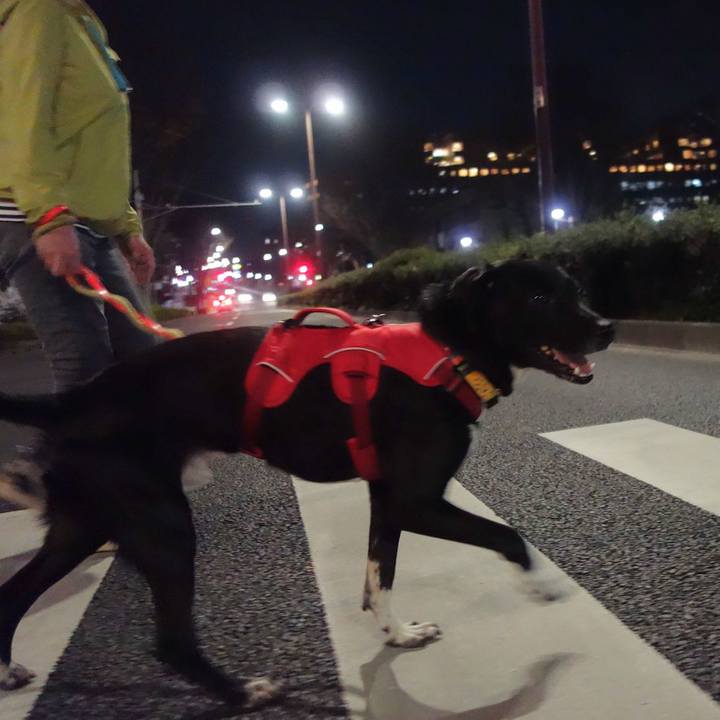 2eba06e1 c68e 4b11 929c 436f50eadeea 1584873511879