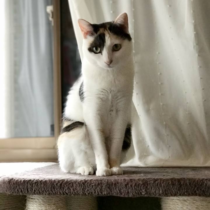 2eba288b db19 4b80 ae7d c2cc817ee582 1537924864870