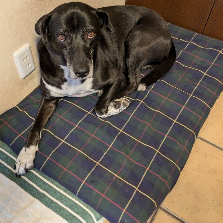 2eba46c8 614d 407e 8a33 731f96b9dc6c 1728644642934