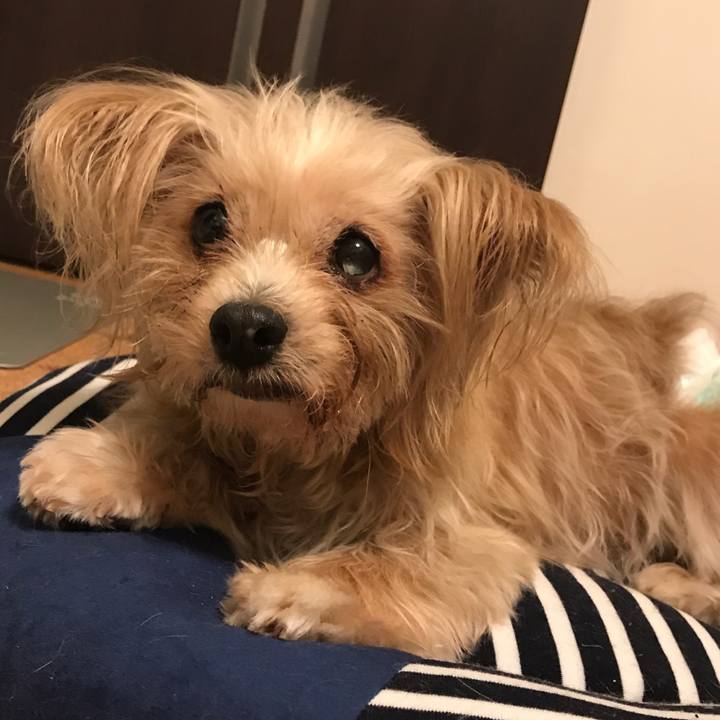 2eba8613 ff08 4c42 b07c 590feb411a56 1536334722471