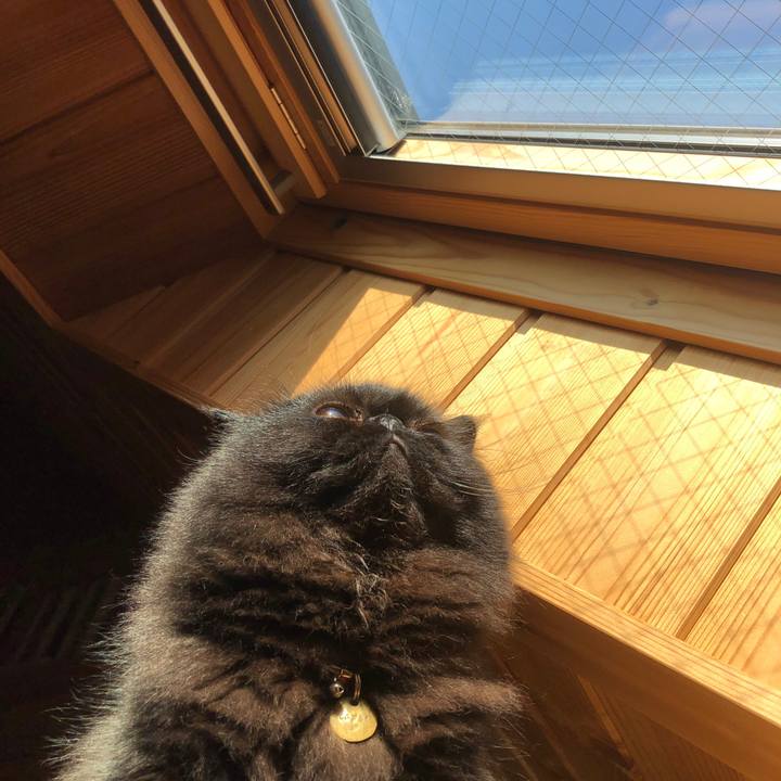 2ebaf21e 6a11 4d30 9f8a 448ae51d4322 1581146817072