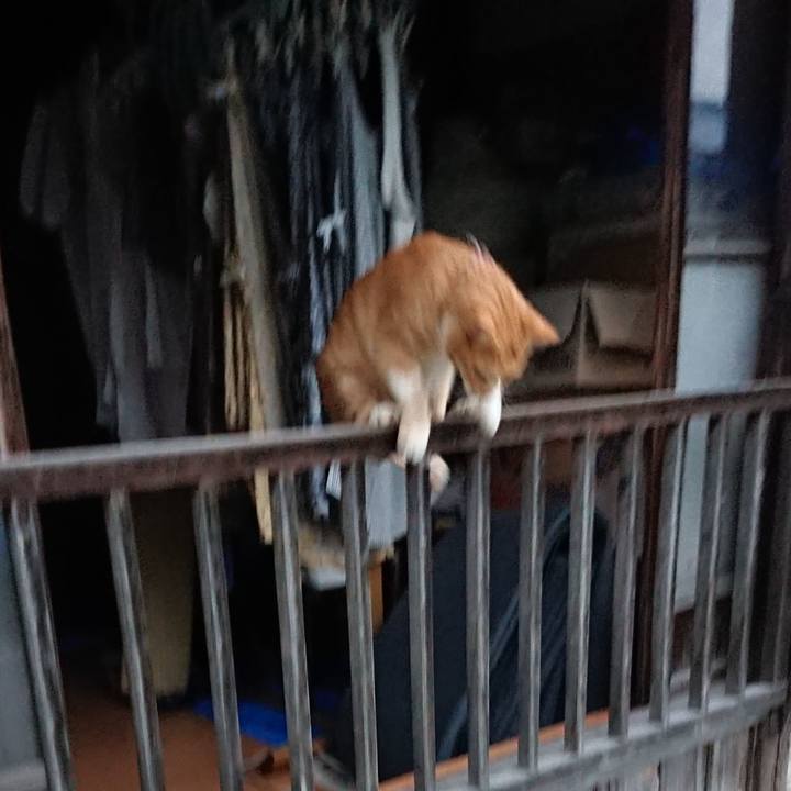 2ebaf594 0351 4bbf 989f 6b273b1f875a 1568581121780