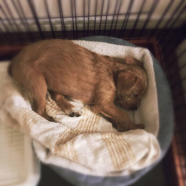 2ebb2867 75b8 4f6d b510 15a5cf4bb131 1522676923000