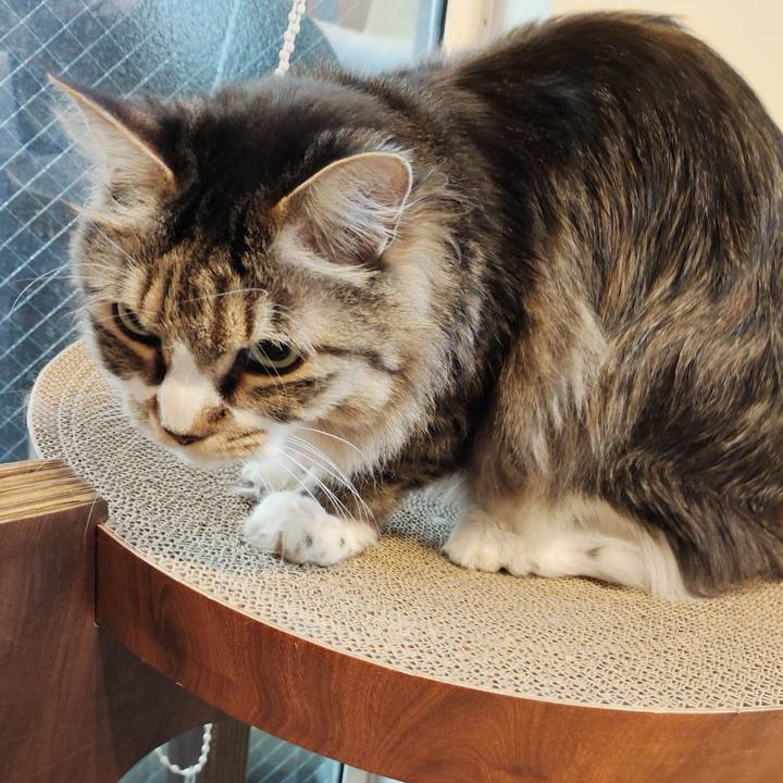 2ebb53ba eec1 4362 aafd 3fe3a40db1c5 1765682522295