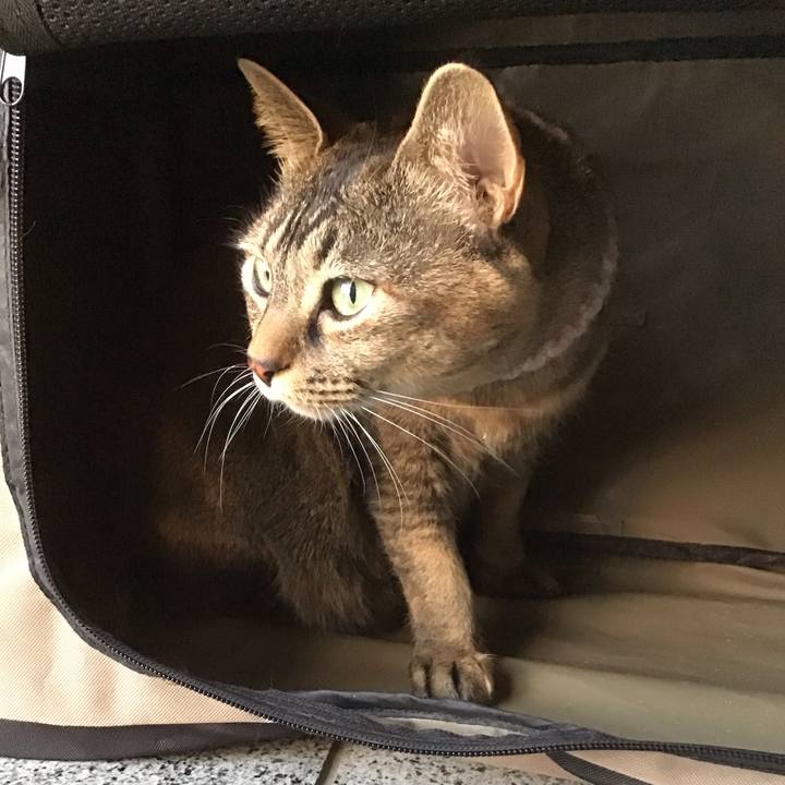 2ebb6979 6e59 4f13 9322 2836f87f2b6a 1677057973534