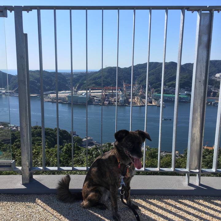 2ebb749f ab20 4360 b206 f4e583ebed98 1507719614116