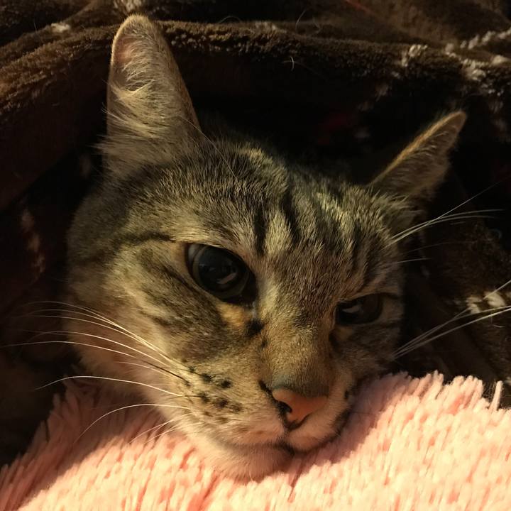 2ebb7b2c 07c9 49c9 8a2b 6f3defde1527 1521317905362