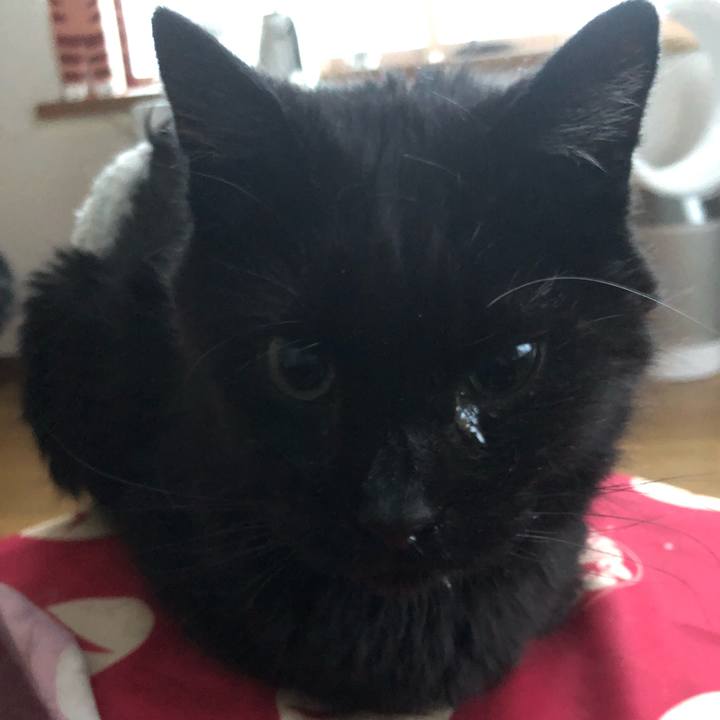 2ebba489 c0a0 4df5 ba88 fc27cd4f3b0d 1644788055456