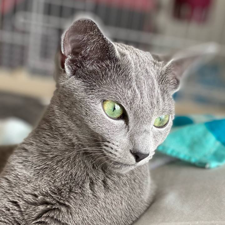 2ebbd6a3 d267 4d27 a672 99e1dd57c918 1616308968508