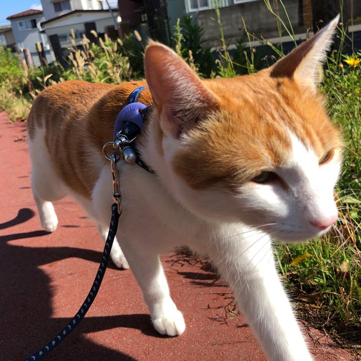 2ebc0e59 d317 4b56 bd28 625778b28be7 1541134958833