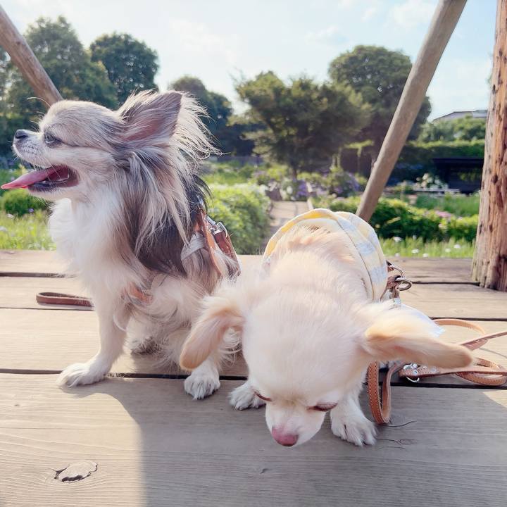 2ebc1cce f231 4572 8da9 e35daefc1212 1687319884857