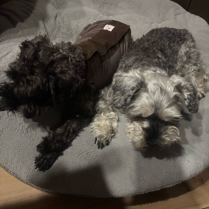 2ebc22df b489 477c ae10 db89ecb5bb1b 1734871249523