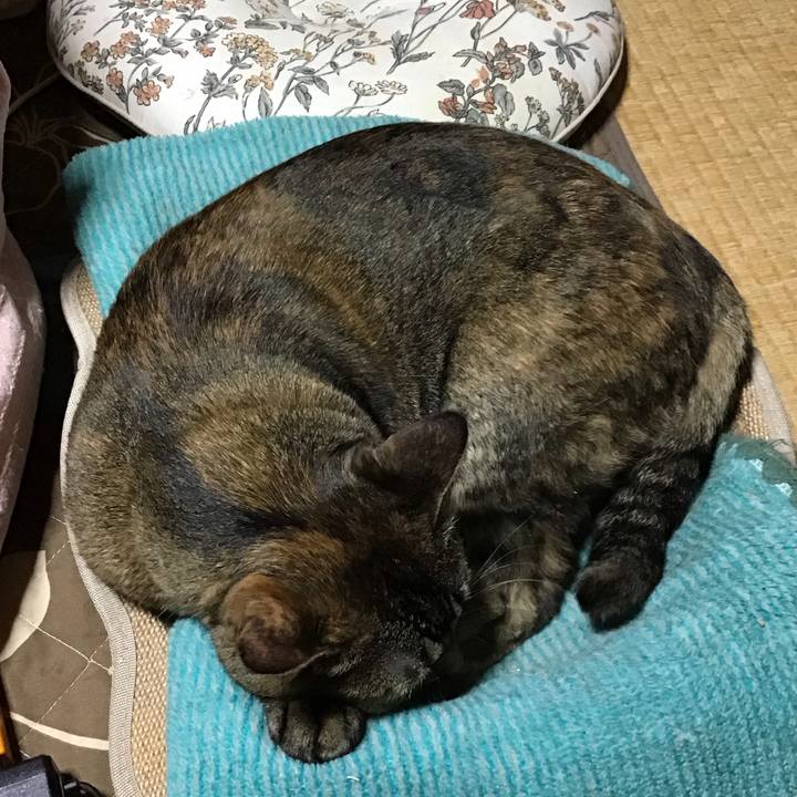 2ebc319d 6b4b 4084 aee4 150a6c35fafe 1761987042815